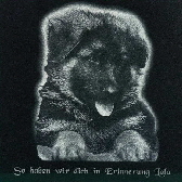 hund